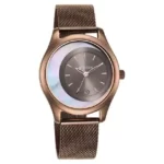 Titan 2596QM01 Crescent Brown Dial Stainless Steel strap watch